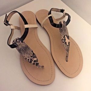 Saks Fifth Ave T Strap Snakeprint Flat Sandals 7.5